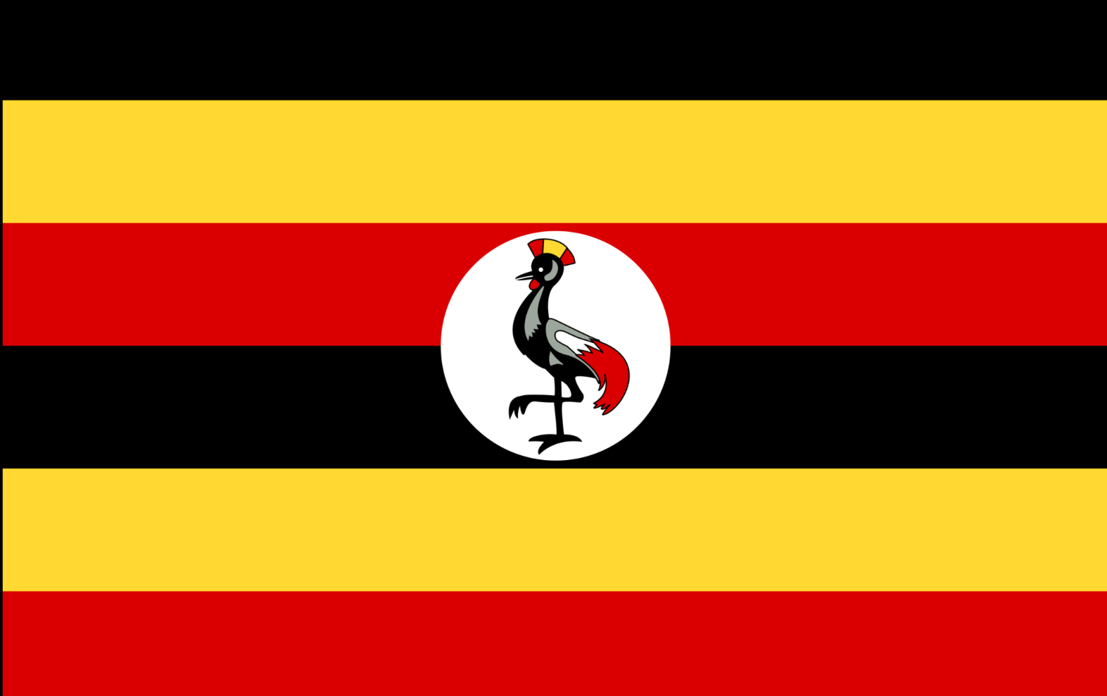 Learning from our brothers and sisters in Africa